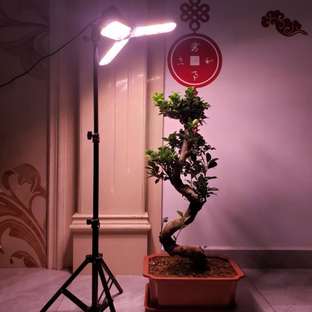 Stojak na żarówki 2M, gniazdo  – Lighting In Photography Studio recenzja i cena