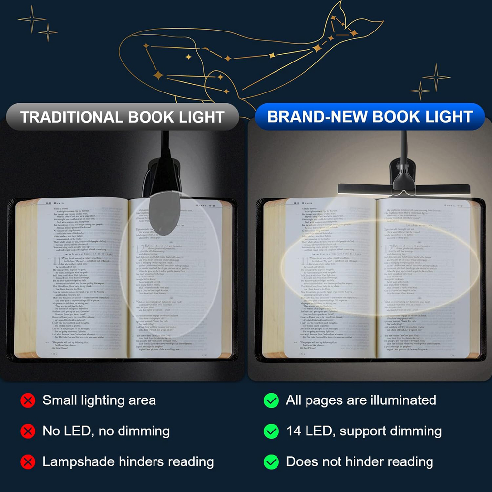 Podwójne głowice 14 sterowanie – Photography Lighting Book recenzja i cena